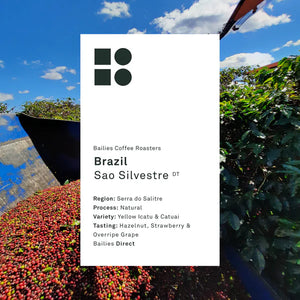 Bailies Coffee | Brazil Sao Silvestre Natural Single Origin | 250g