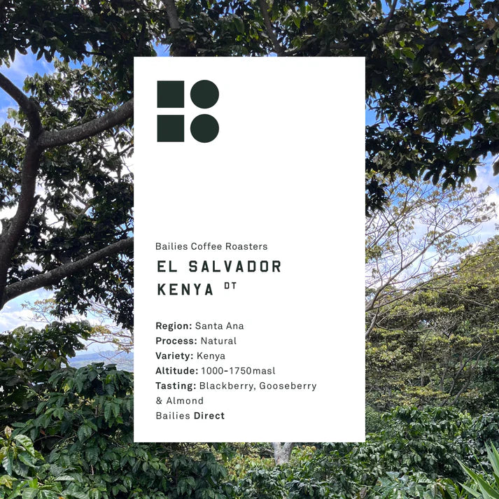 Bailies Coffee | El Salvador Kenya Natural | Microlot | 250g