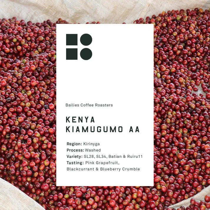 Bailies Coffee | Kenya Kiamugumo AA | Microlot | 250g